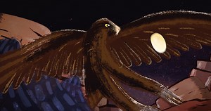 'Back to the Outback' Trailers, Videos, Interviews and more