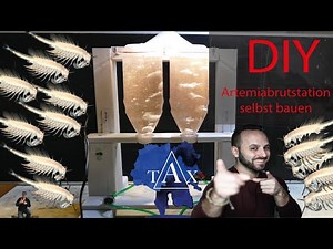 Artemiabrutstation selbst bauen / Artemiabreedingstation DIY / TAX