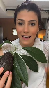 1.8M views · 19K reactions | Did you know that you can make avocado...
