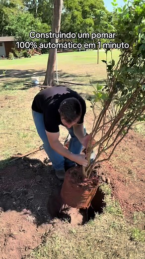 Como construir um pomar 100% automático em 1 minuto