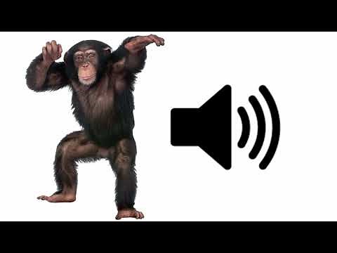 Angry Monkey - Sound Effect