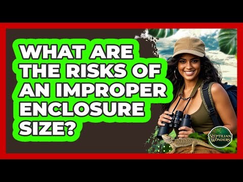 What Are The Risks Of An Improper Enclosure Size?