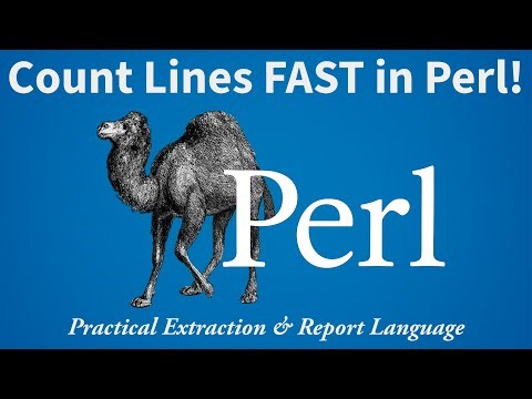 Perl Script to Count Lines in Multiple Files — Fast, Simple & Beginner-Friendly!