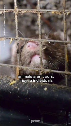 animals are here WITH us, not for us!