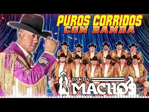 🎪Banda Machos Corridos y Rancheras Mix 2025 🔥 Banda Machos Viejitas Pero Bonitas
