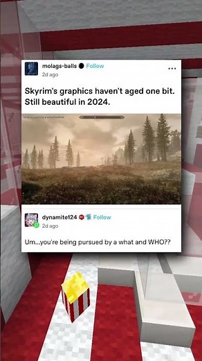 Skyrim in a nutshell