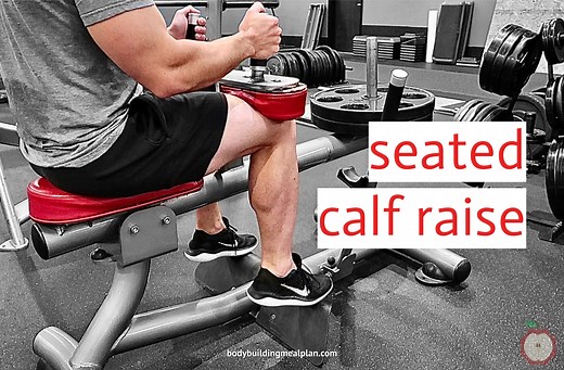 Seated Calf Raise With Machine   3 Alternatives You Can Do At Home