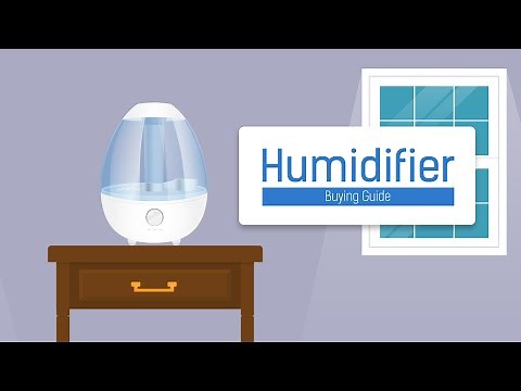 Humidifier Buying Guide