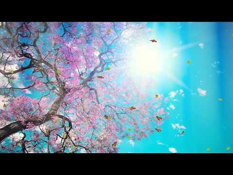 Fantastic Nature Screensaver http://www.screensavergift.com