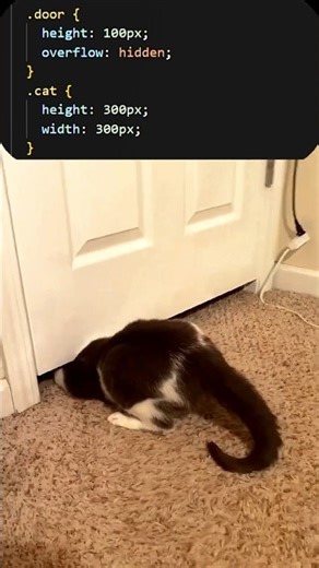 coding memes #coding #developer #python #javascript #html #css #webdevelopment #frontend #shorts