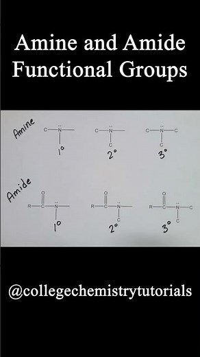 Amine & Amide Functional Groups