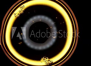 crystallization of salt from an aqueous solution experiment time lapse