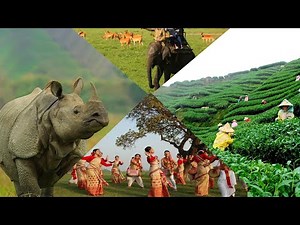 Assam & Assamese Culture Explained | History, Bihu, Tradition 🌿