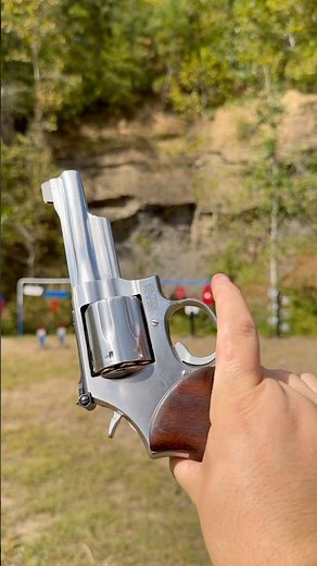 .357 Magnum Mountain Gun #shortsfeed #shortsyoutube #shortsvideo #callofduty #smithandwessonpartner