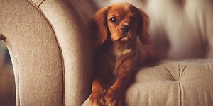 12 Organizations that Give Away Free Furniture Free Financial Help Paying Bills