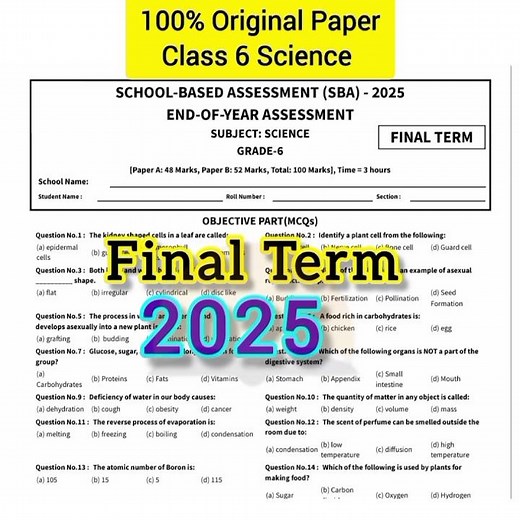 Class 6 Science Paper Annual Term School Based Assessment 2025 | PEC SBA Grade 6
