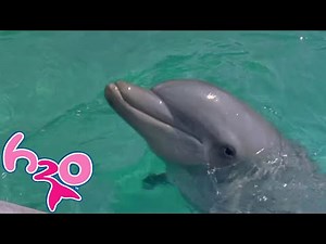 H2O - Plötzlich Meerjungfrau Kurzfolge | Staffel 1 Folge 16 | Cleos geheimer Freund