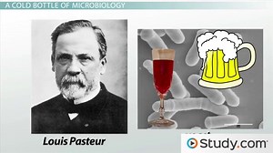 Yeast Fermentation | Overview, Types & Product