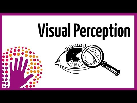 Visual Perception – How It Works