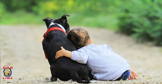 Dog Training Collars - Short & Long Distance Training Dog Collars - The Dog Line