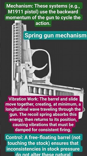 gun mechanism (spring)