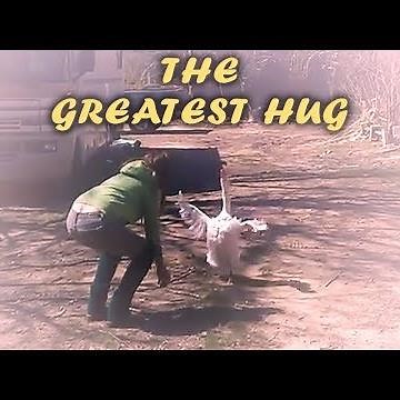 Goose Hugs Woman - The Greatest Hug of All Time