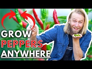 How to Grow Peppers from Seed in Containers | Complete Growing Guide