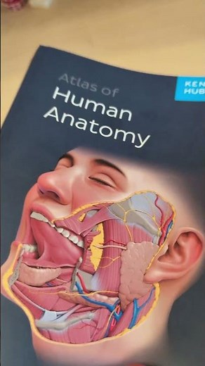 KENHUB Atlas of Human Anatomy