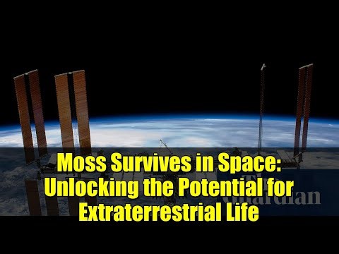 Moss Survives in Space: Unlocking the Potential for Extraterrestrial Life