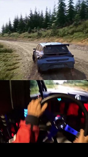 Assetto Corsa Rally POV #assettocorsarally #rally #simracing