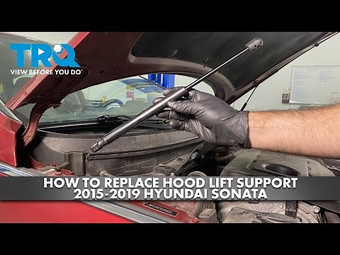 How to Replace Hood Lift Support 2015-2019 Hyundai Sonata