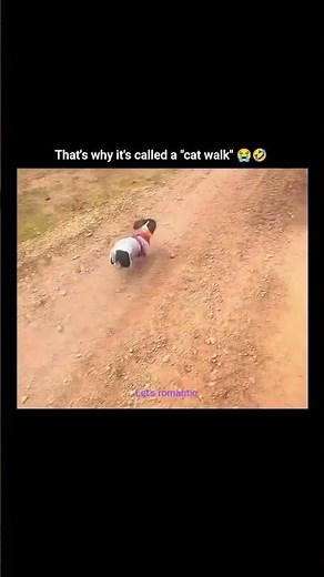 that's why it's called a " cat walk " 😭🤣 #music #memes #amazingmemes