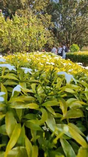 Arnob Roy on Reels | Facebook