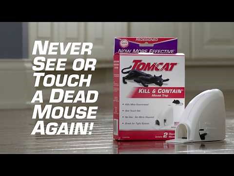 How to Catch and Kill Mice Using the Tomcat® Kill & Contain Mouse Trap