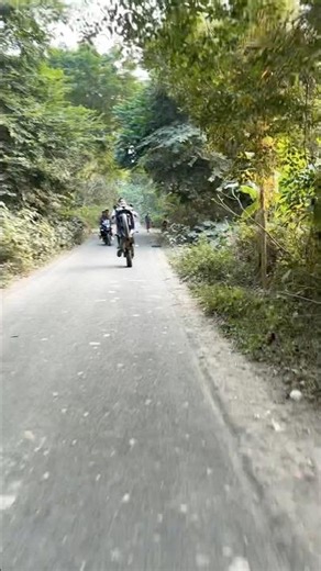 R15 V3 Wheelie #shortvideo #r15v3 #wheelie #youtubeshorts