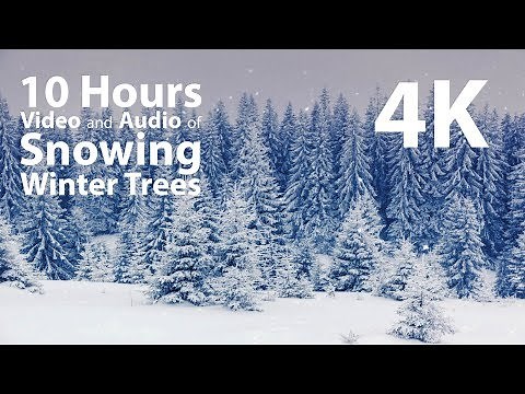4K 10 hours - Snowing on Winter Trees - relaxing, gentle, calming