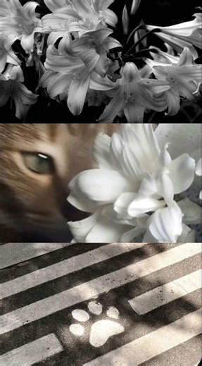 Adorable Moments of Seo-jun and Jukyung