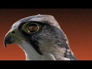 ITV Sport F1 Intro 2006 HD - 'Glamour'