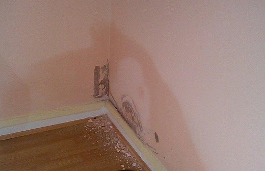 How to Treat Rising Damp