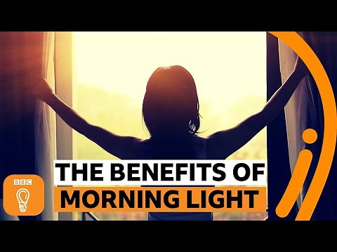 Why is morning light so important? | BBC Ideas