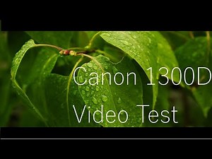 Canon 1300D Video Test.