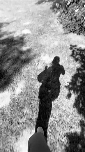 caro.nulldrei.null on TikTok