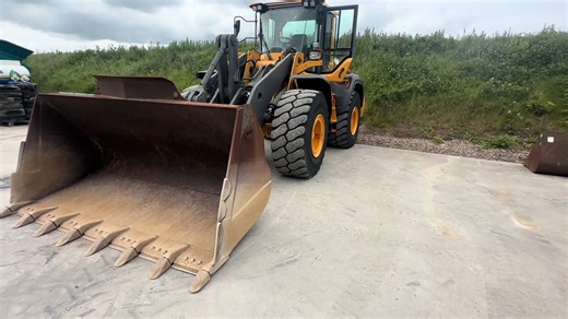 km plant sales on TikTok