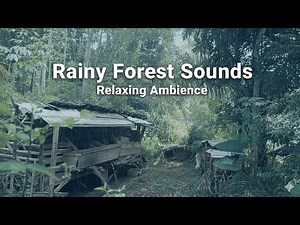 Beautiful Rainfall Over a Peaceful Countryside – Relaxing Nature Ambience