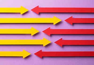 10 Best WordPress Redirect Plugins | Envato Tuts