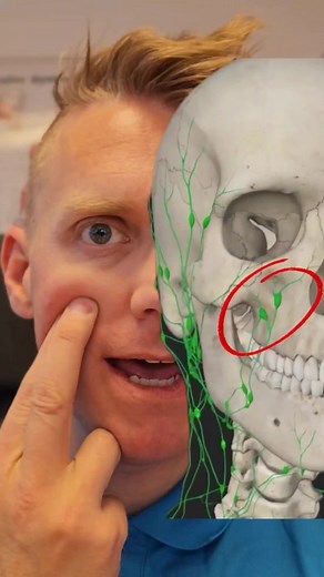 14K views · 129 reactions | Natural sinus drainage. learn how to drain 2 swollen lymph nodes on your cheek bone. Then you regulate fluid flow to your sinuses and get instant sinus drainage. i use these techniques daily on my clients that have sinus problems. It could be painful and not easy to to master the techniques, but keep pratice to get pain free. #sinus #sinusitis #lymphnodes #drainage #healthtips #diy | PainfreeU | Facebook