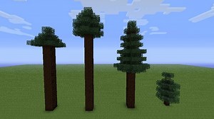 Where to to find a spruce tree in Minecraft