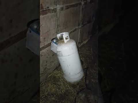 Curing concrete walls at below freezing temperatures