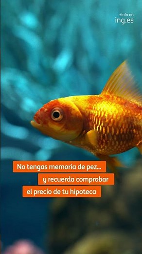 Trae tu hipoteca a ING