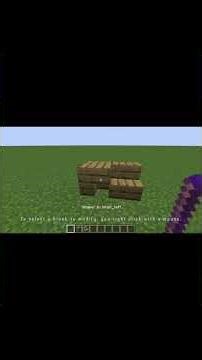 Tutorial Using Minecraft Debug Stick